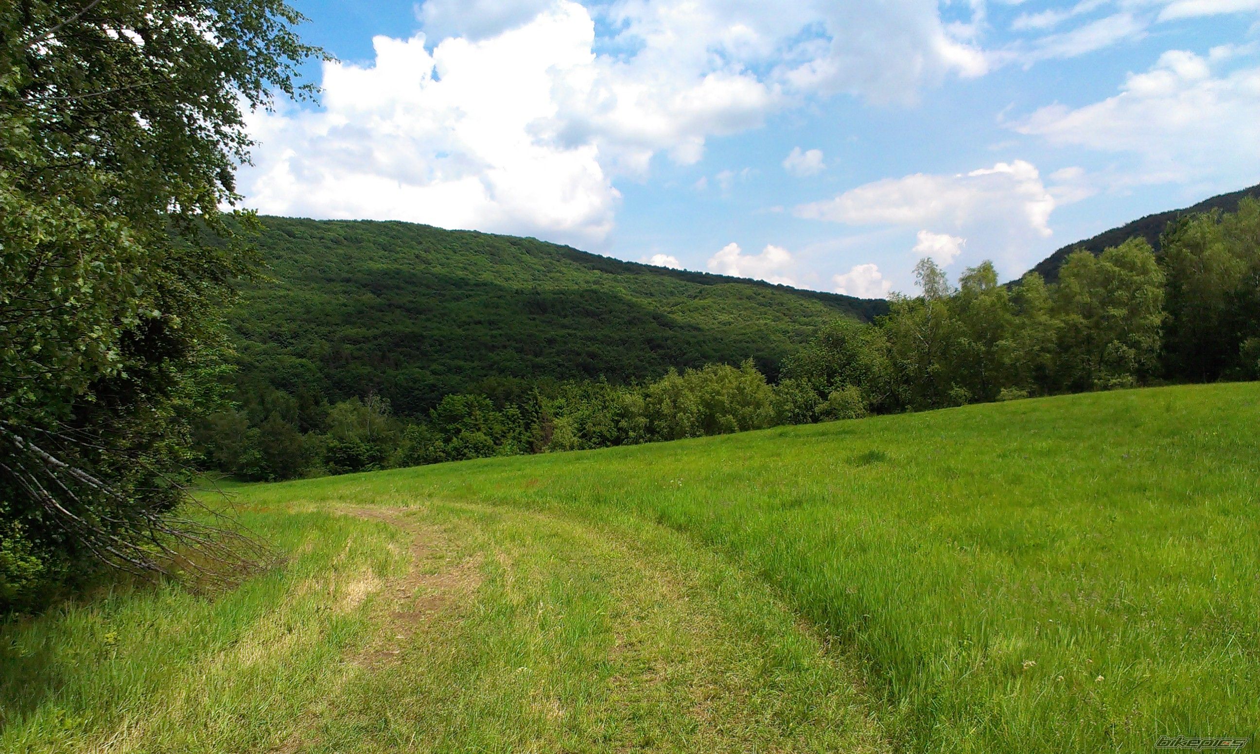 Photo 2785991