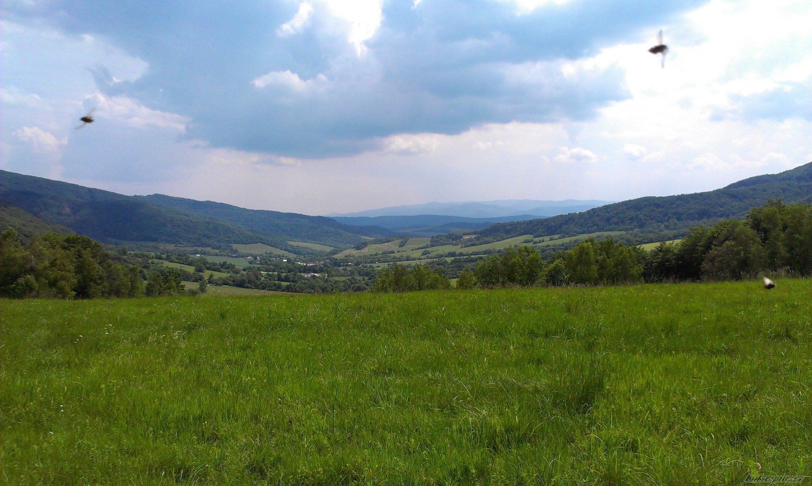 Photo 2785992