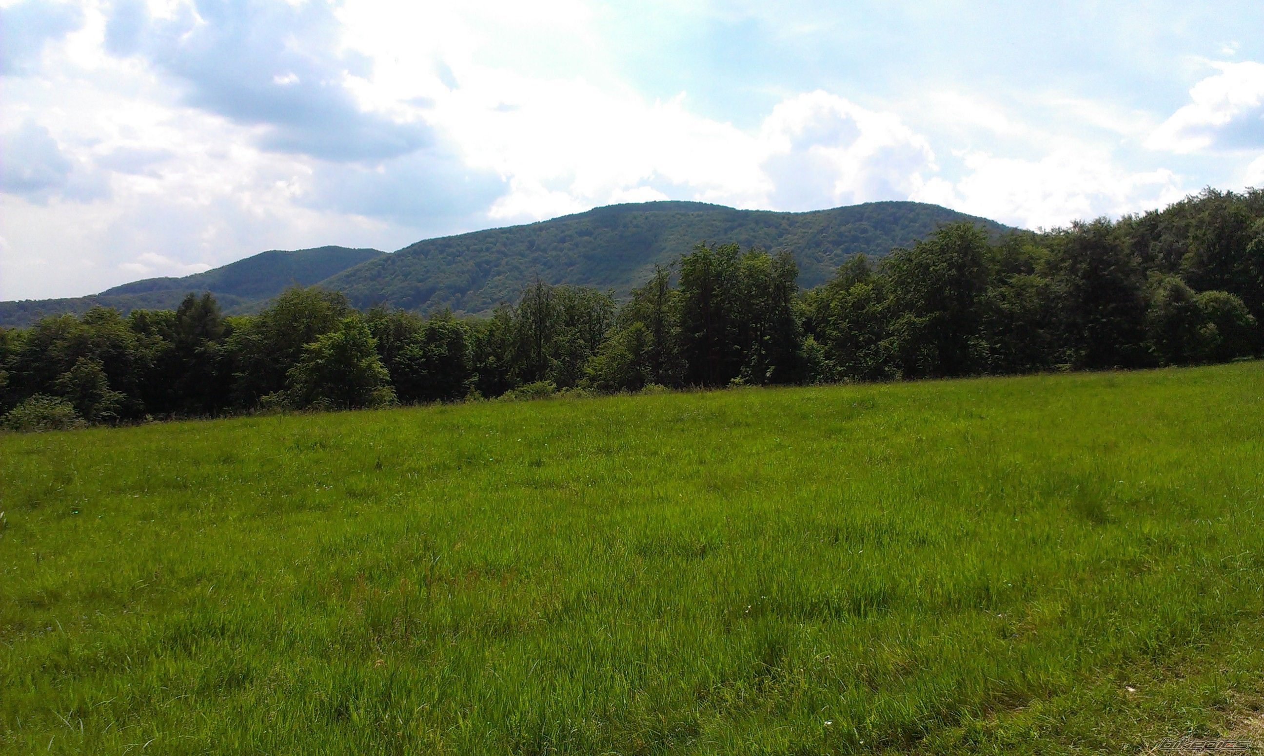 Photo 2785995