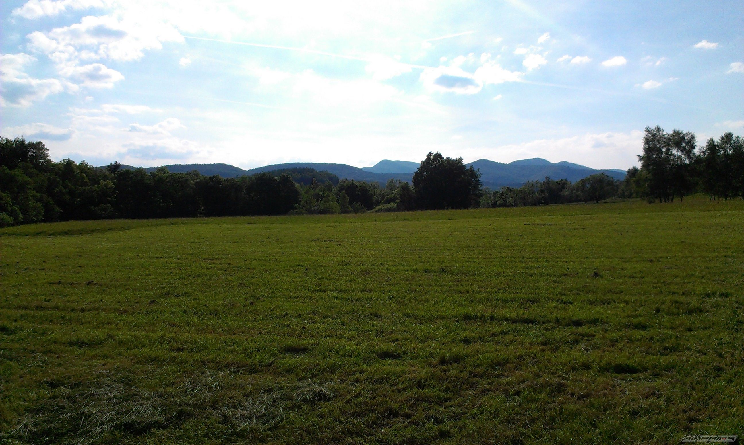 Photo 2785998