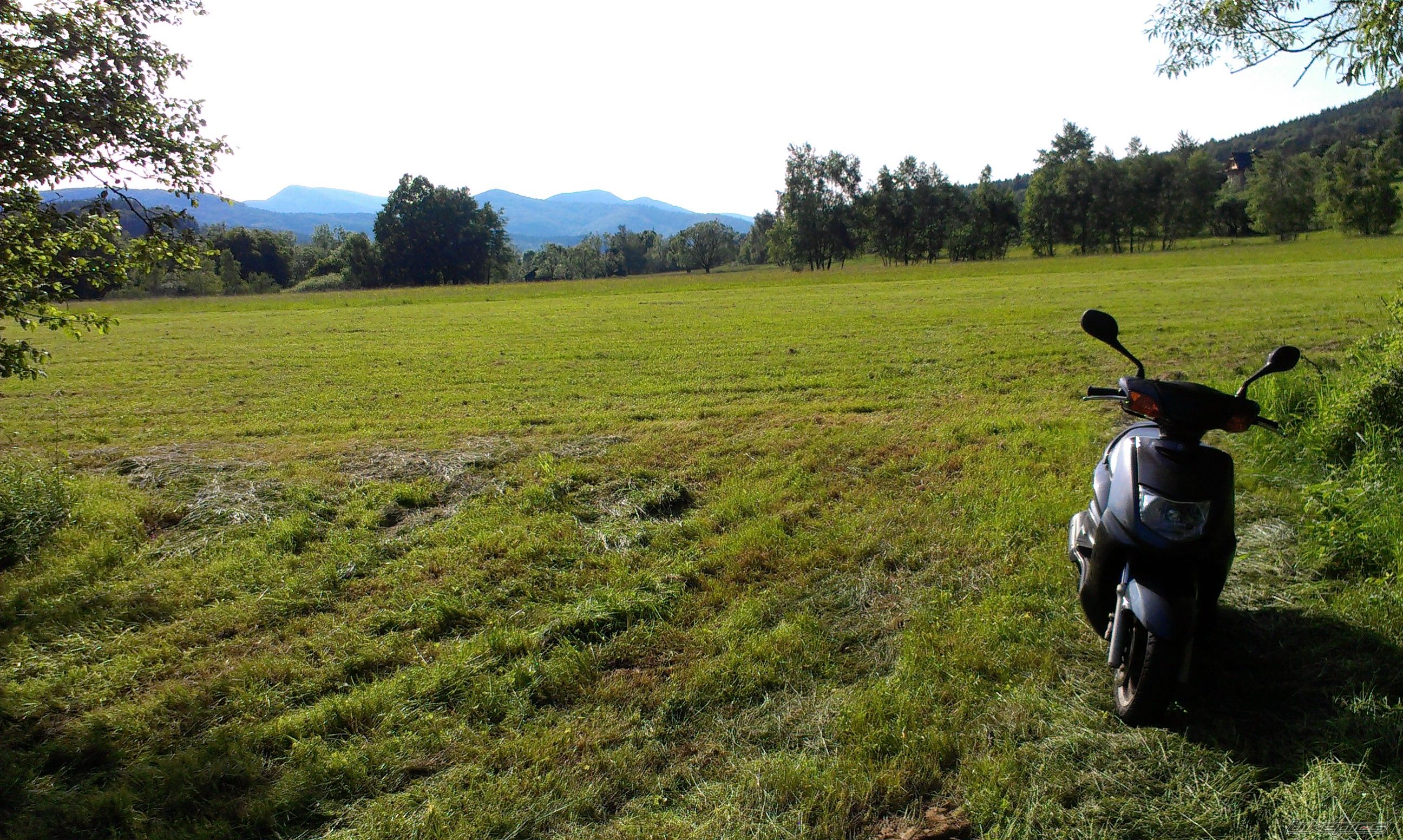 Photo 2785999