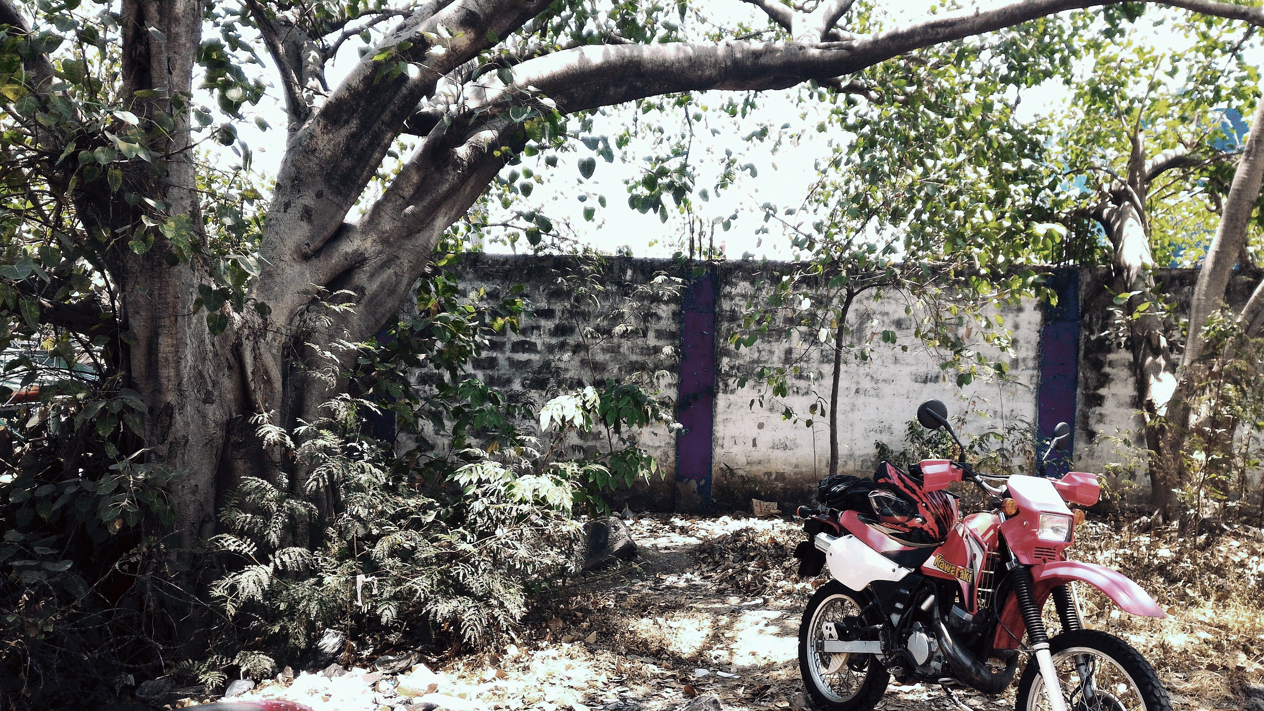 Photo 2786026