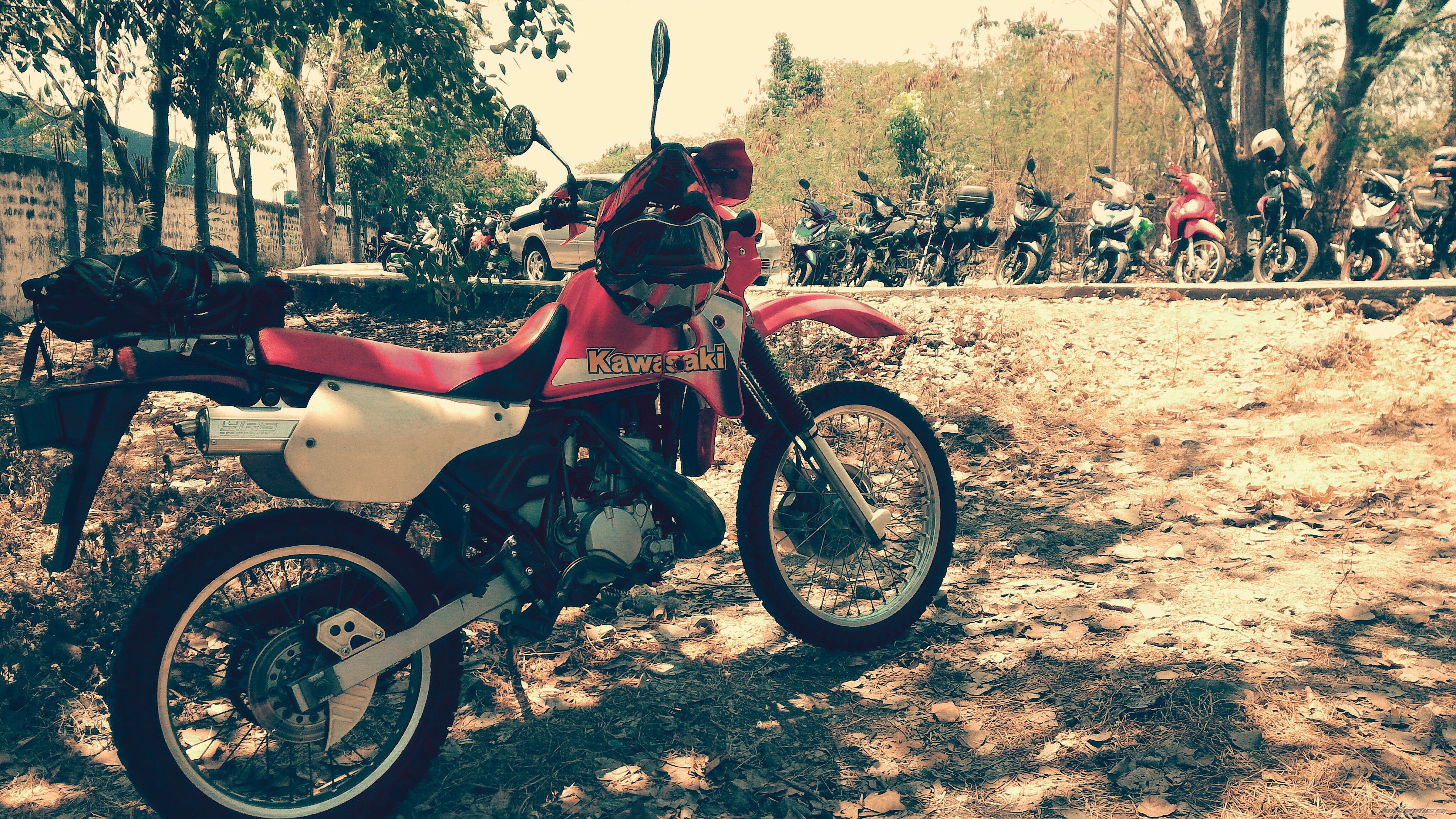 Photo 2786030