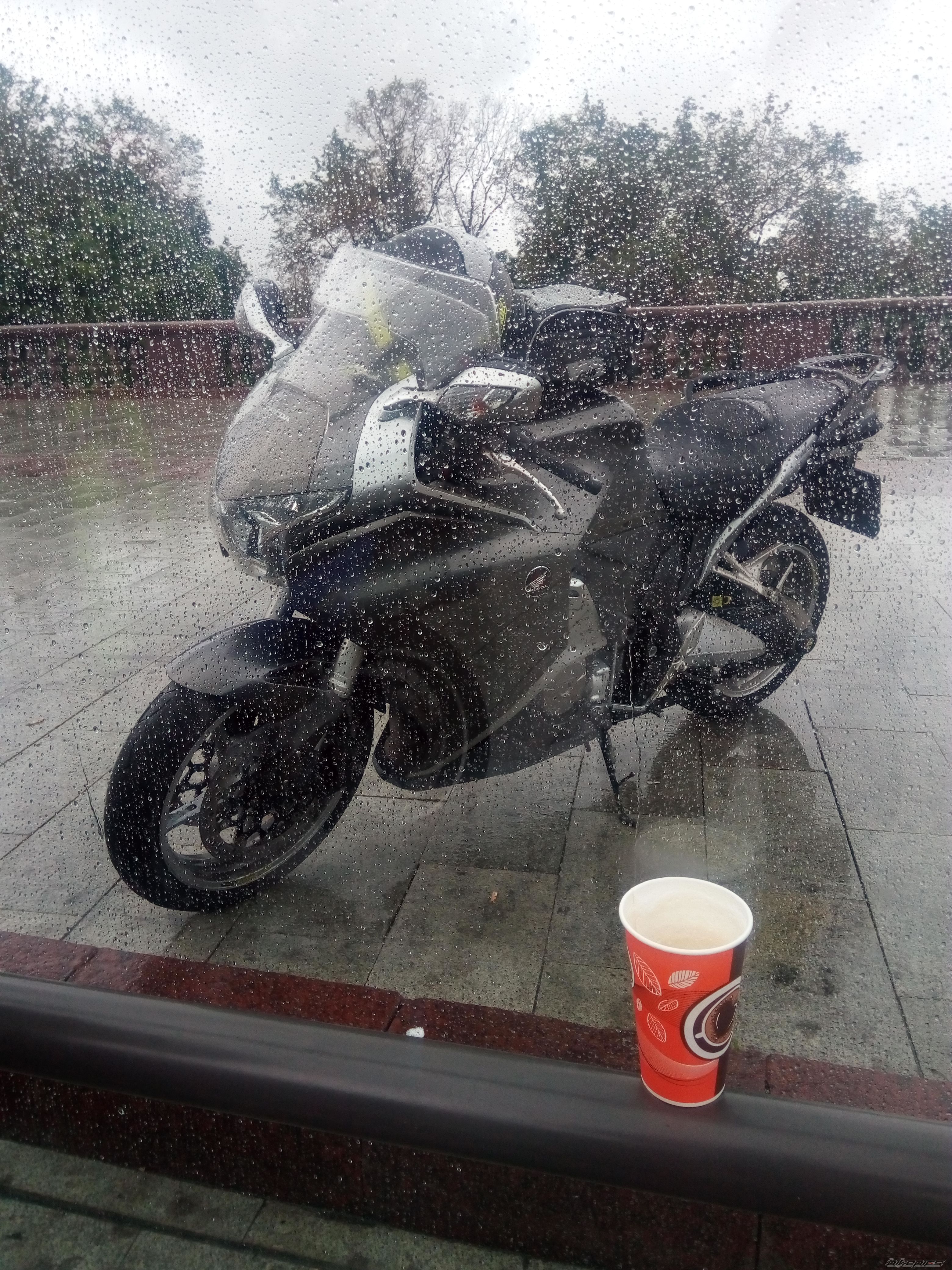 Photo 2786033