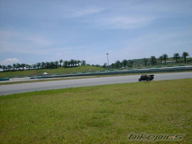 Photo 278611