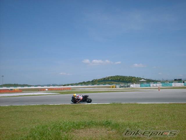 Photo 278612