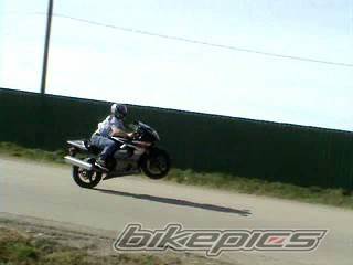 Photo 278613