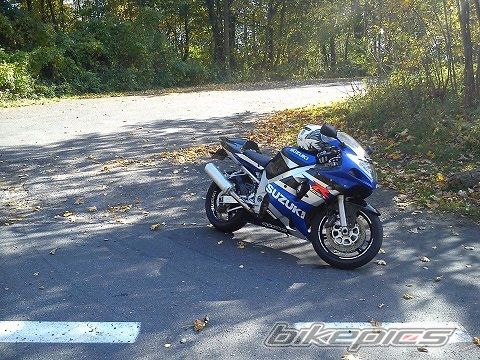 Photo 2786365