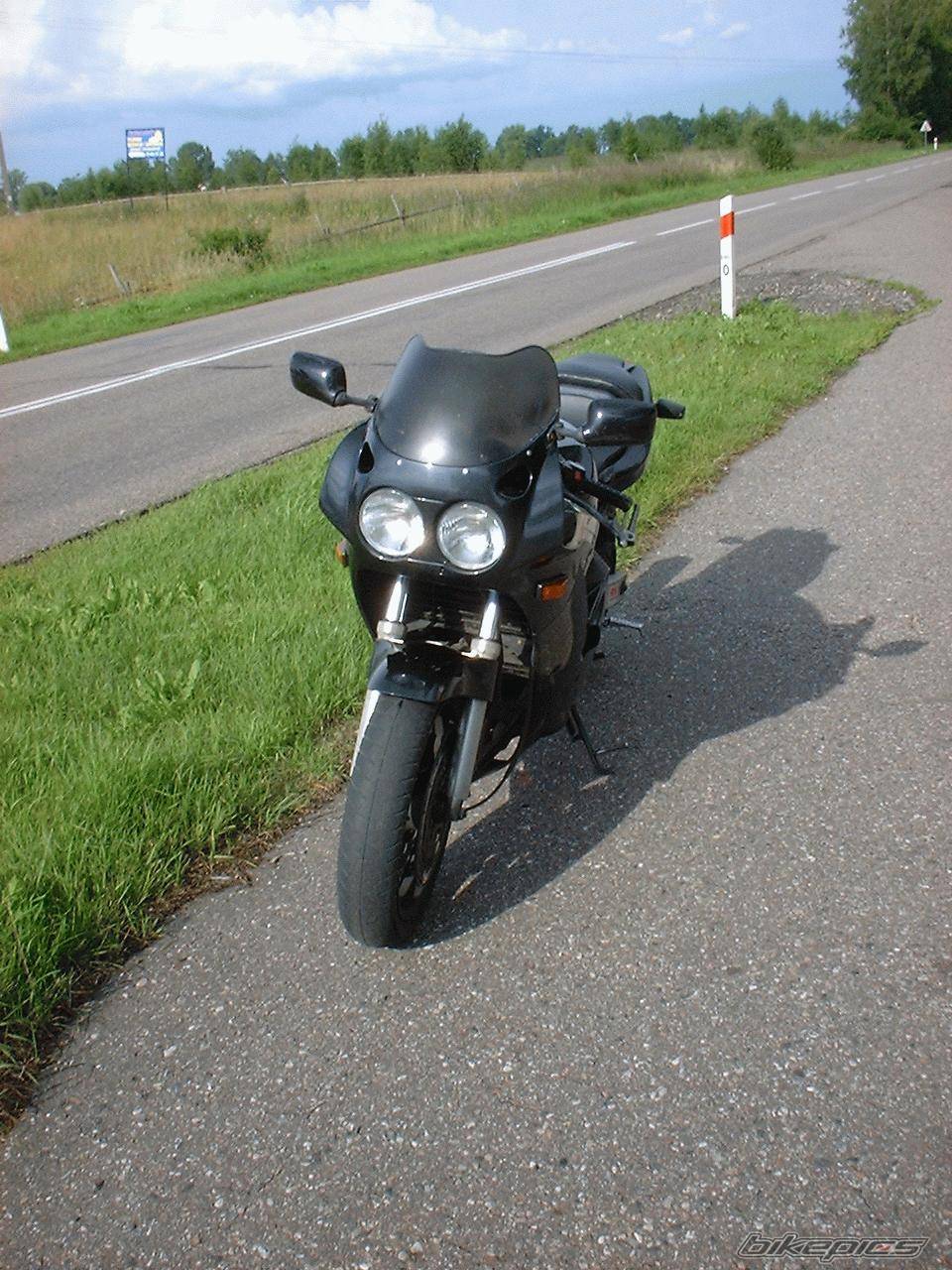 Photo 278639