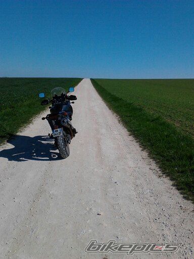 Photo 2786451