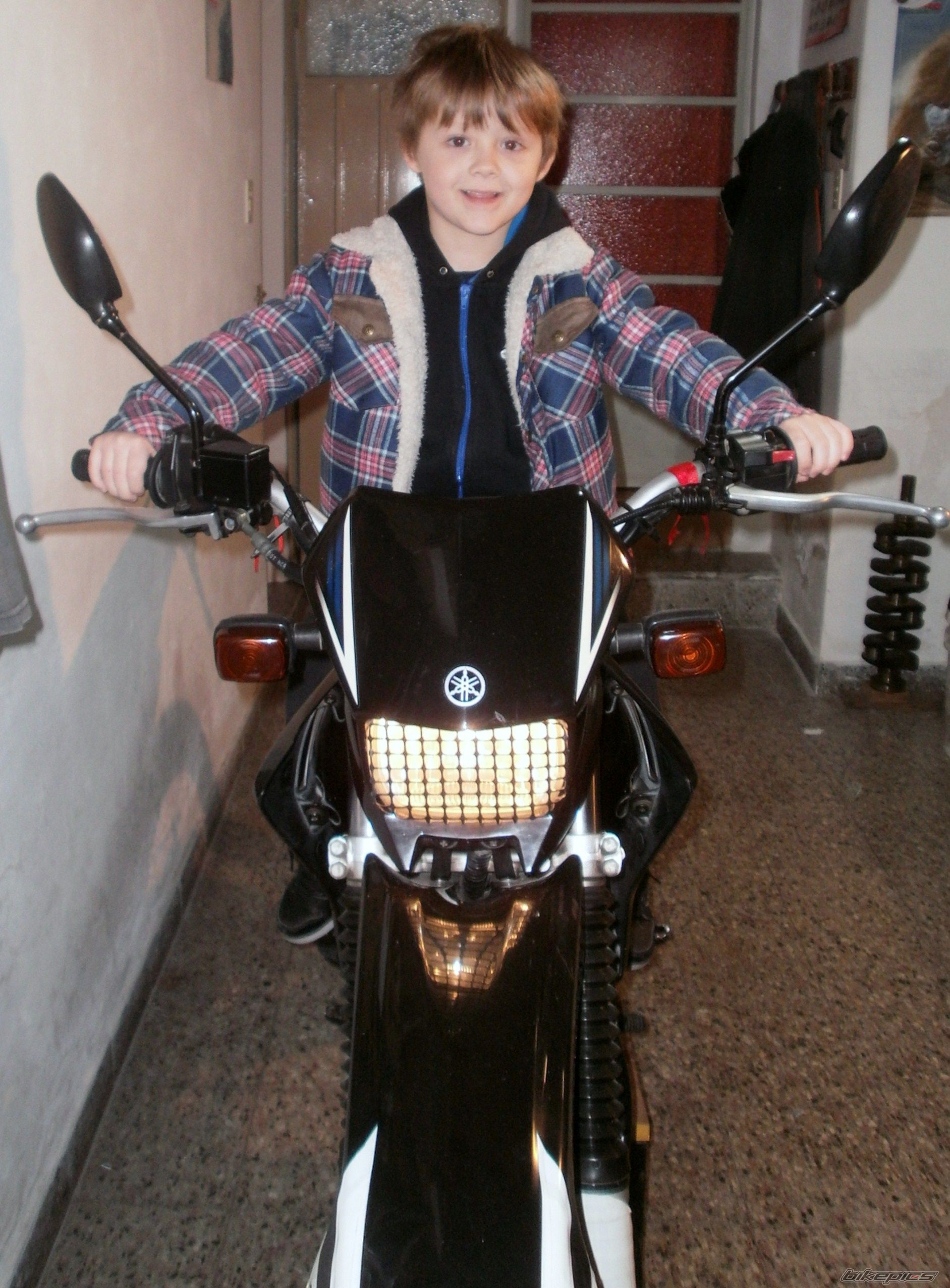 Photo 2786499
