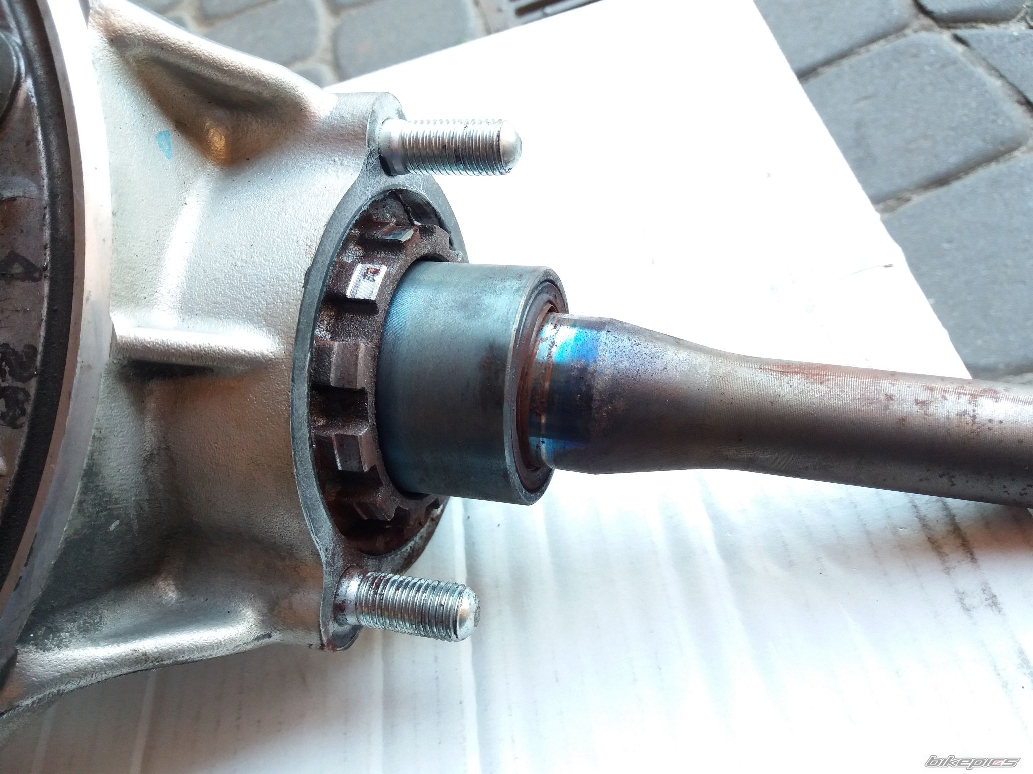 Photo 2786554