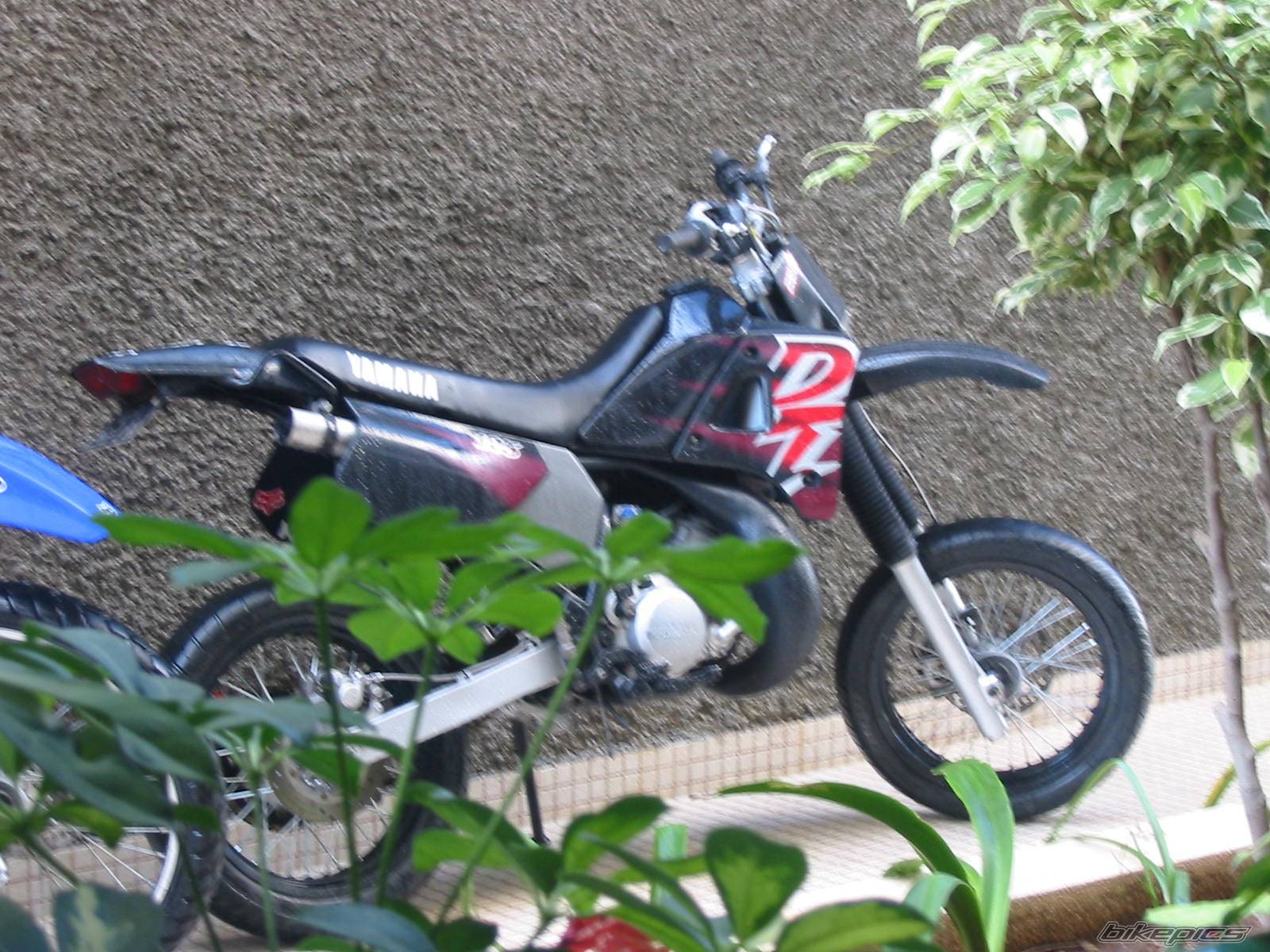 Photo 278658