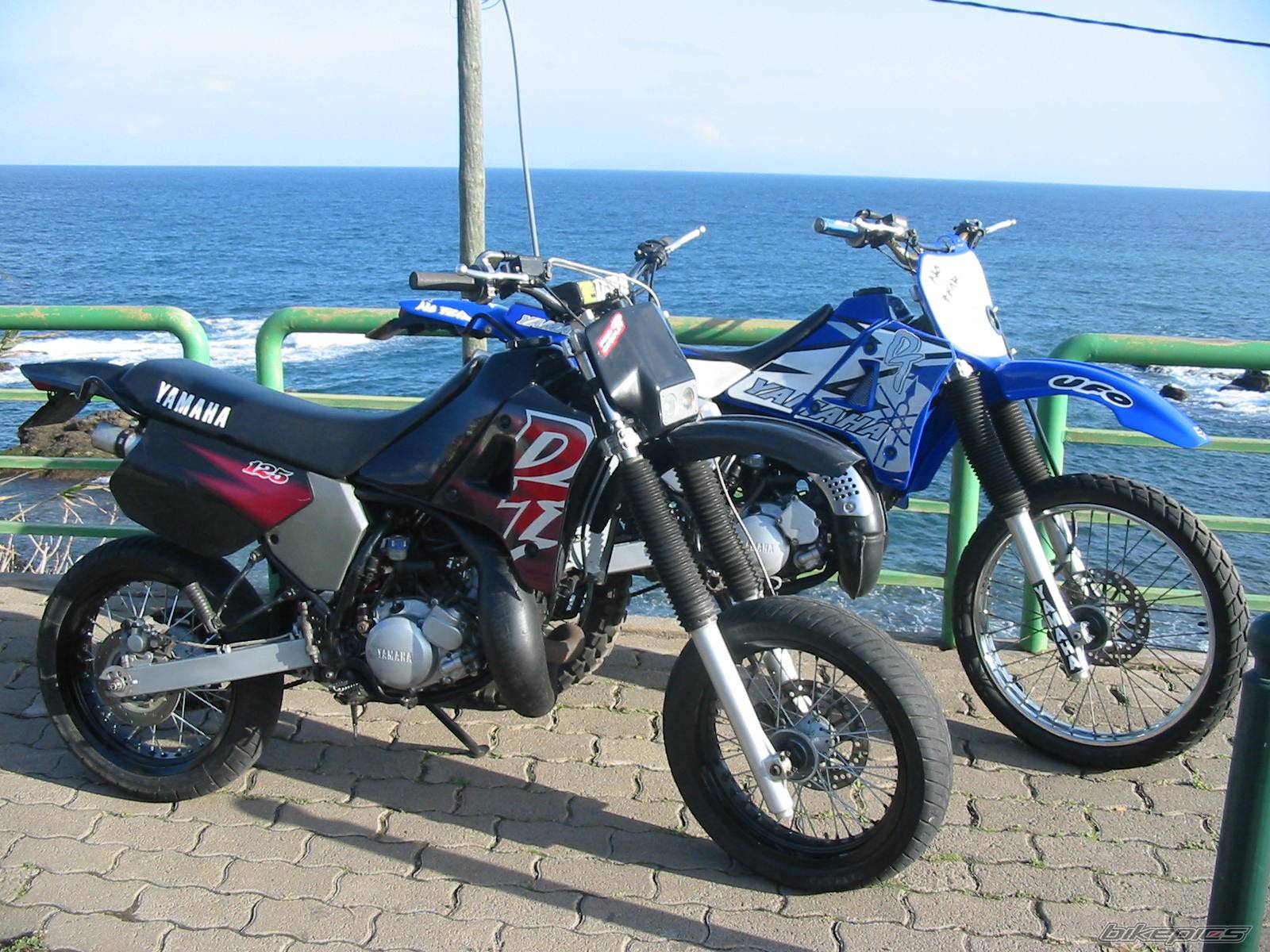 Photo 278661