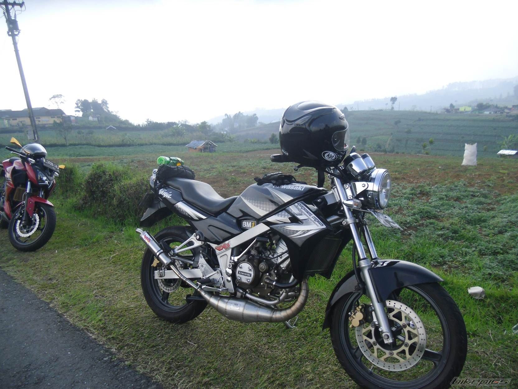Photo 2786643
