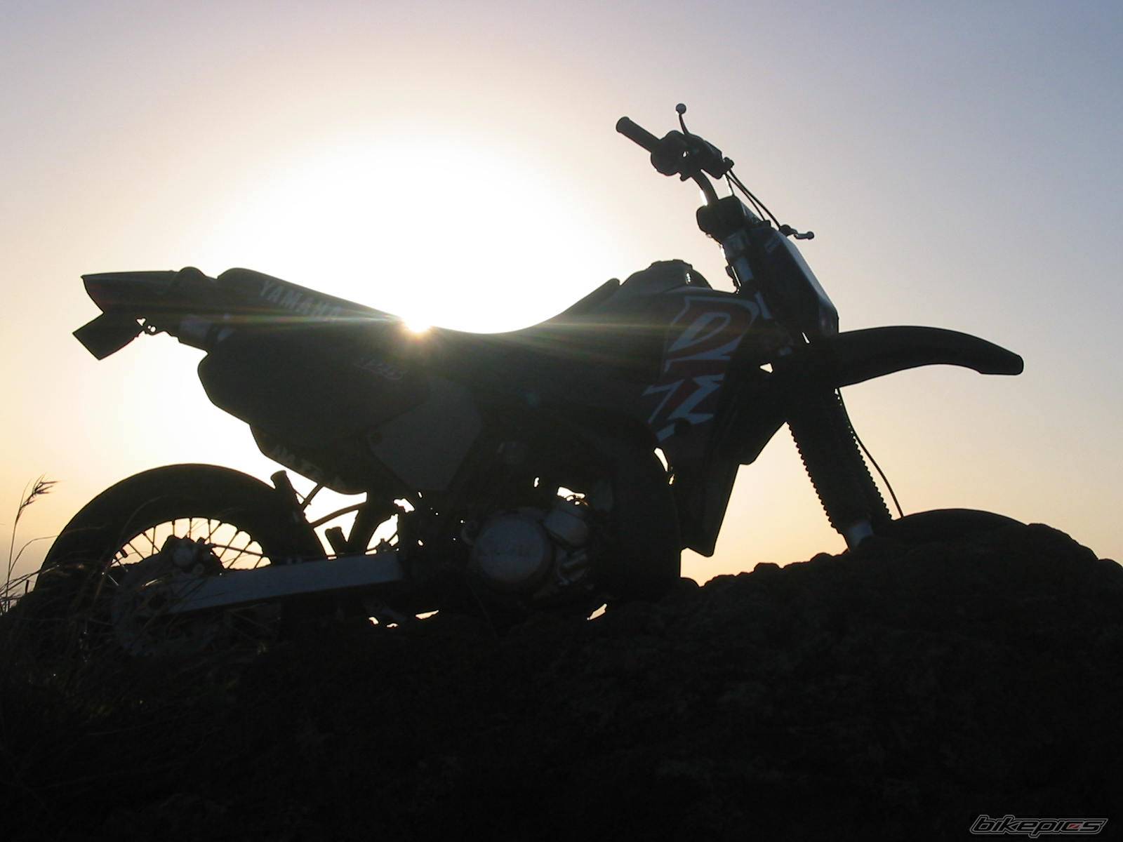 Photo 278669