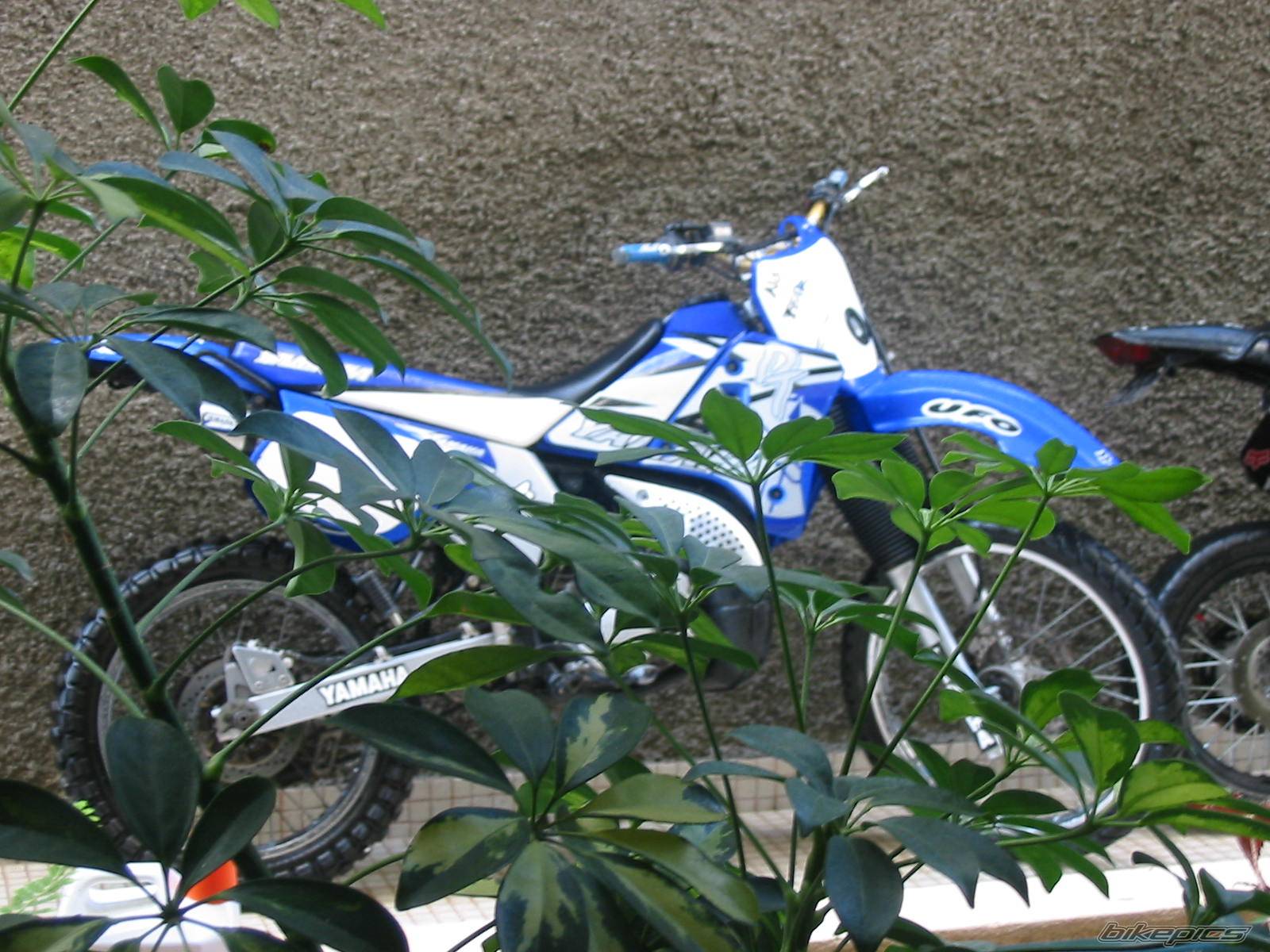 Bike Photo 278676