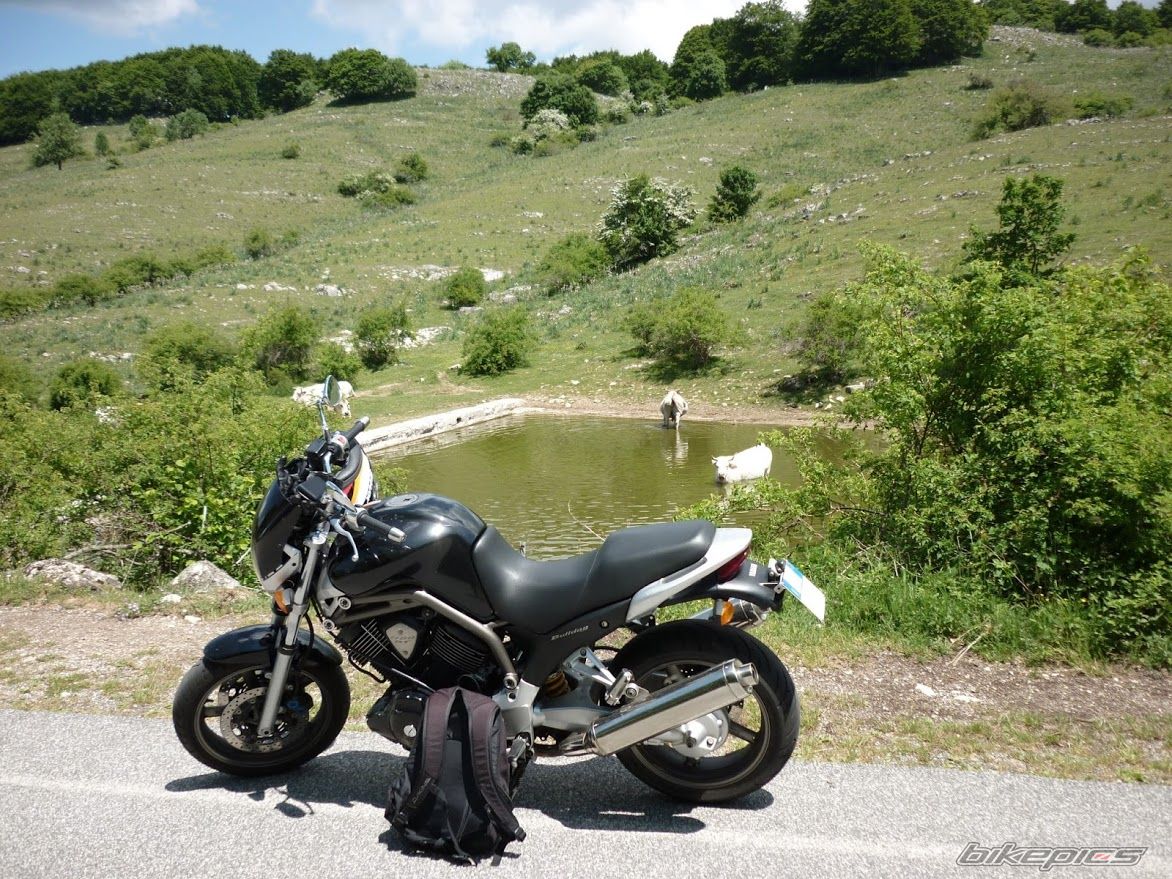 Photo 2786915