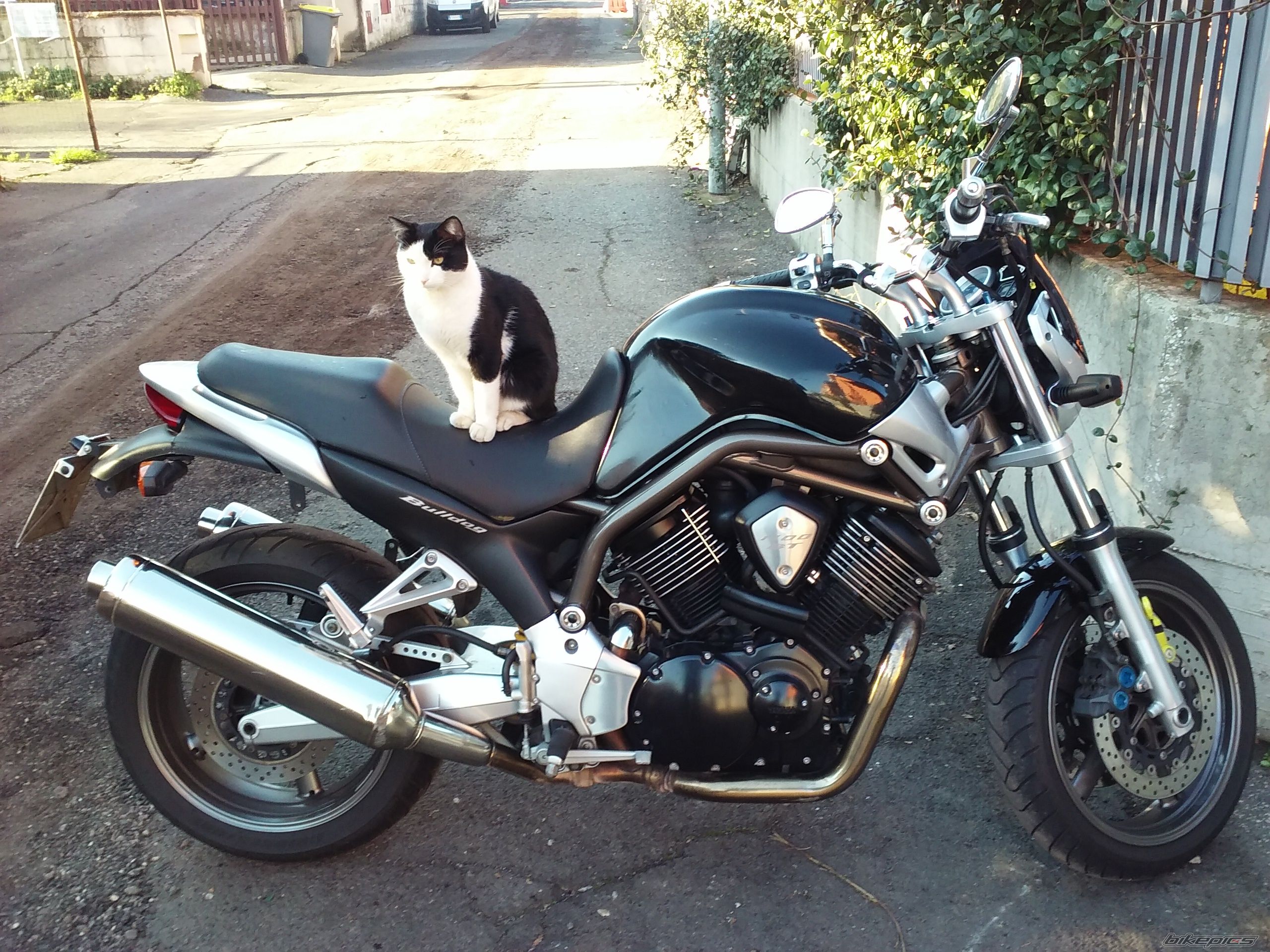 Photo 2786923