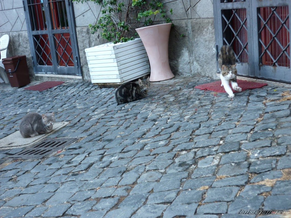 Photo 2786933