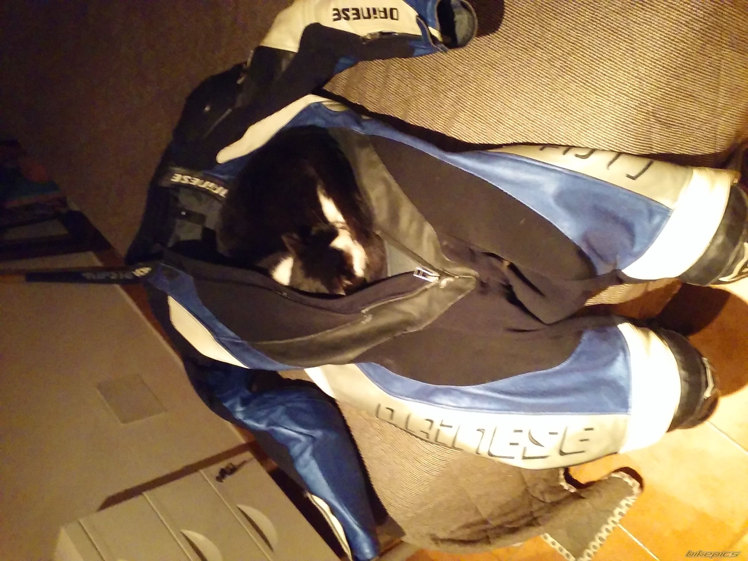 Photo 2786939
