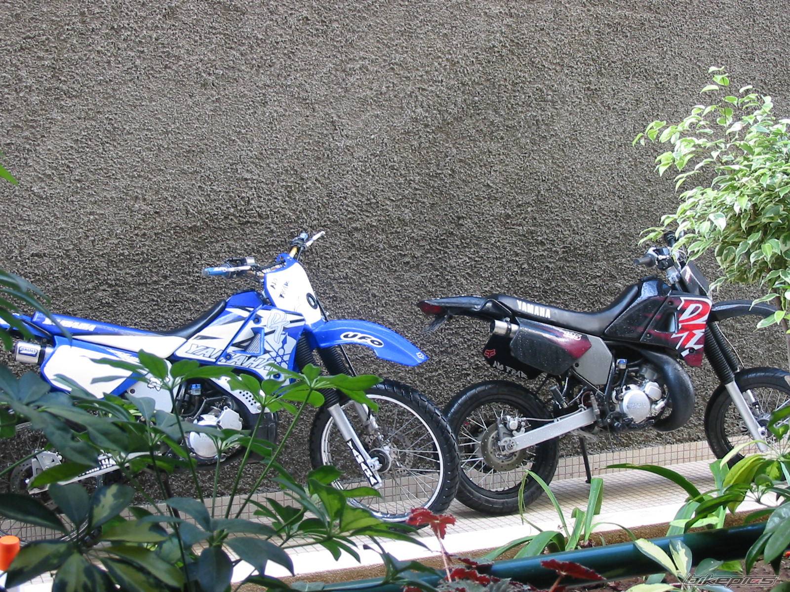 Photo 278697