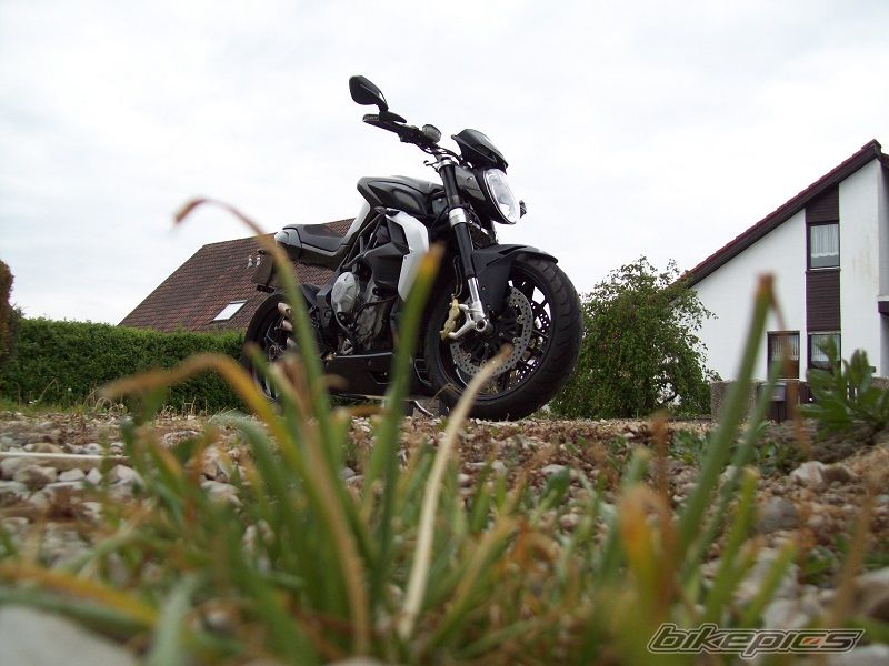 Photo 2786977