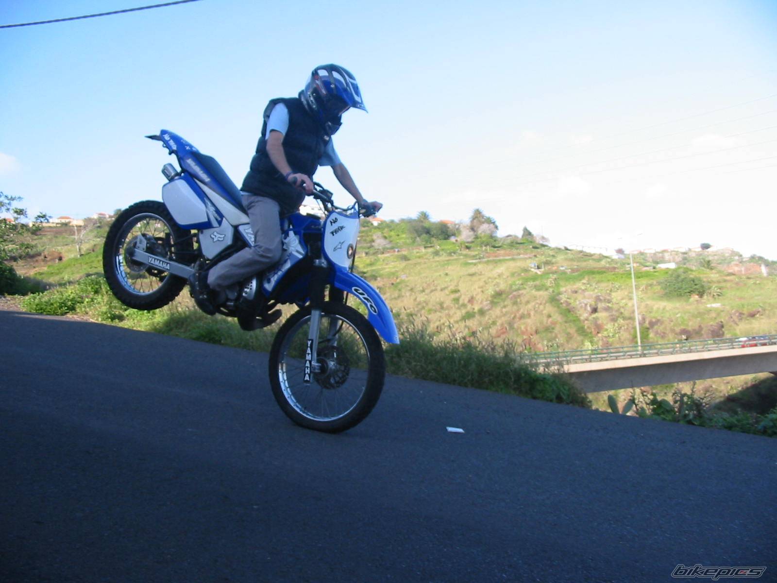 Photo 278699
