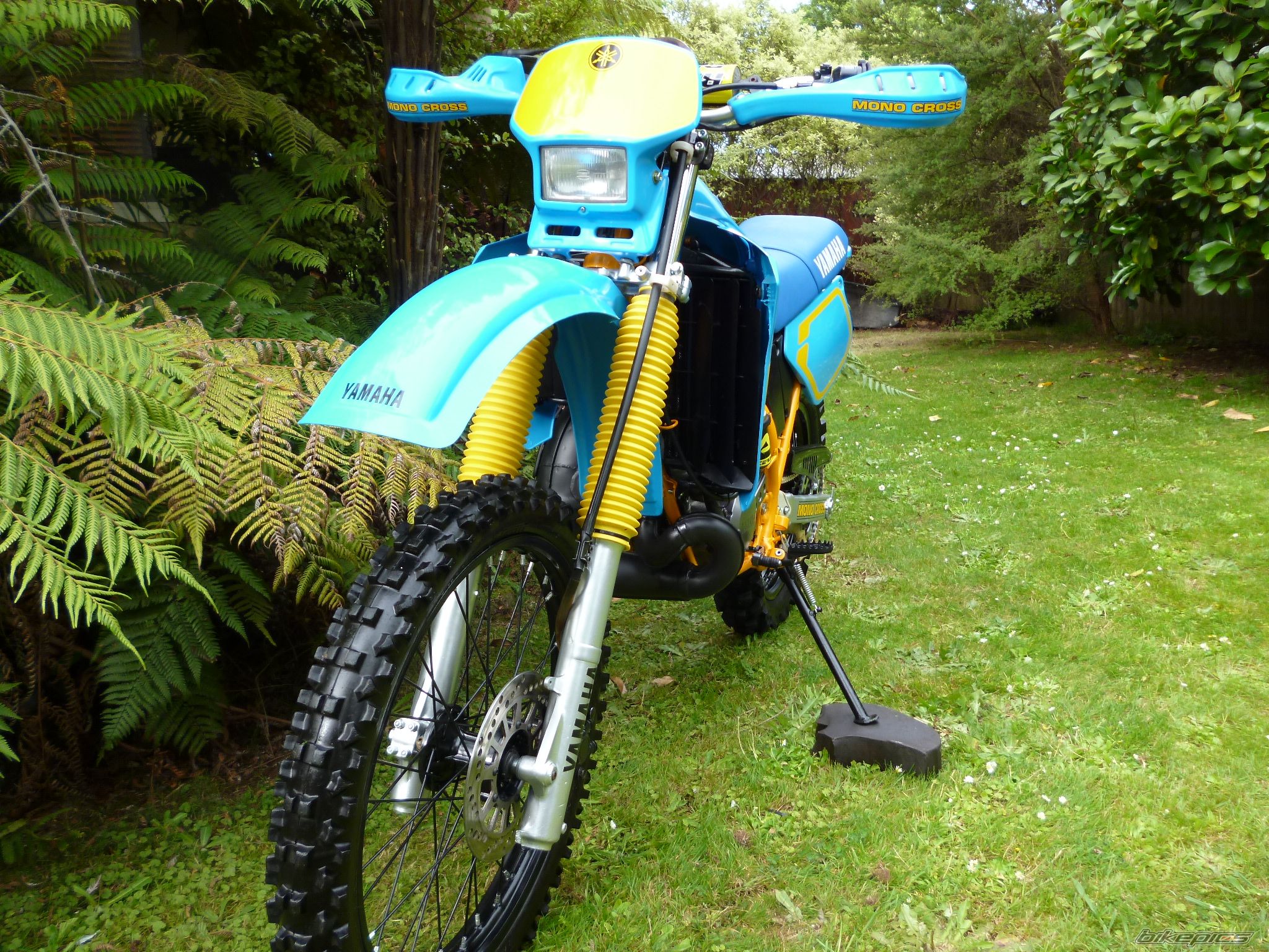 Photo 2787158