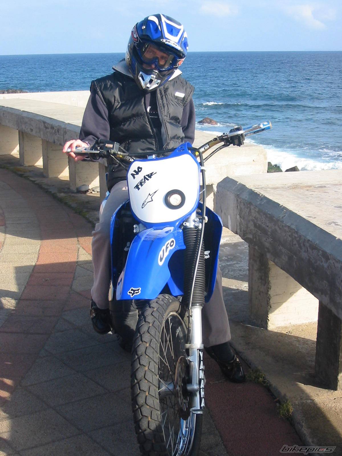 Photo 278716