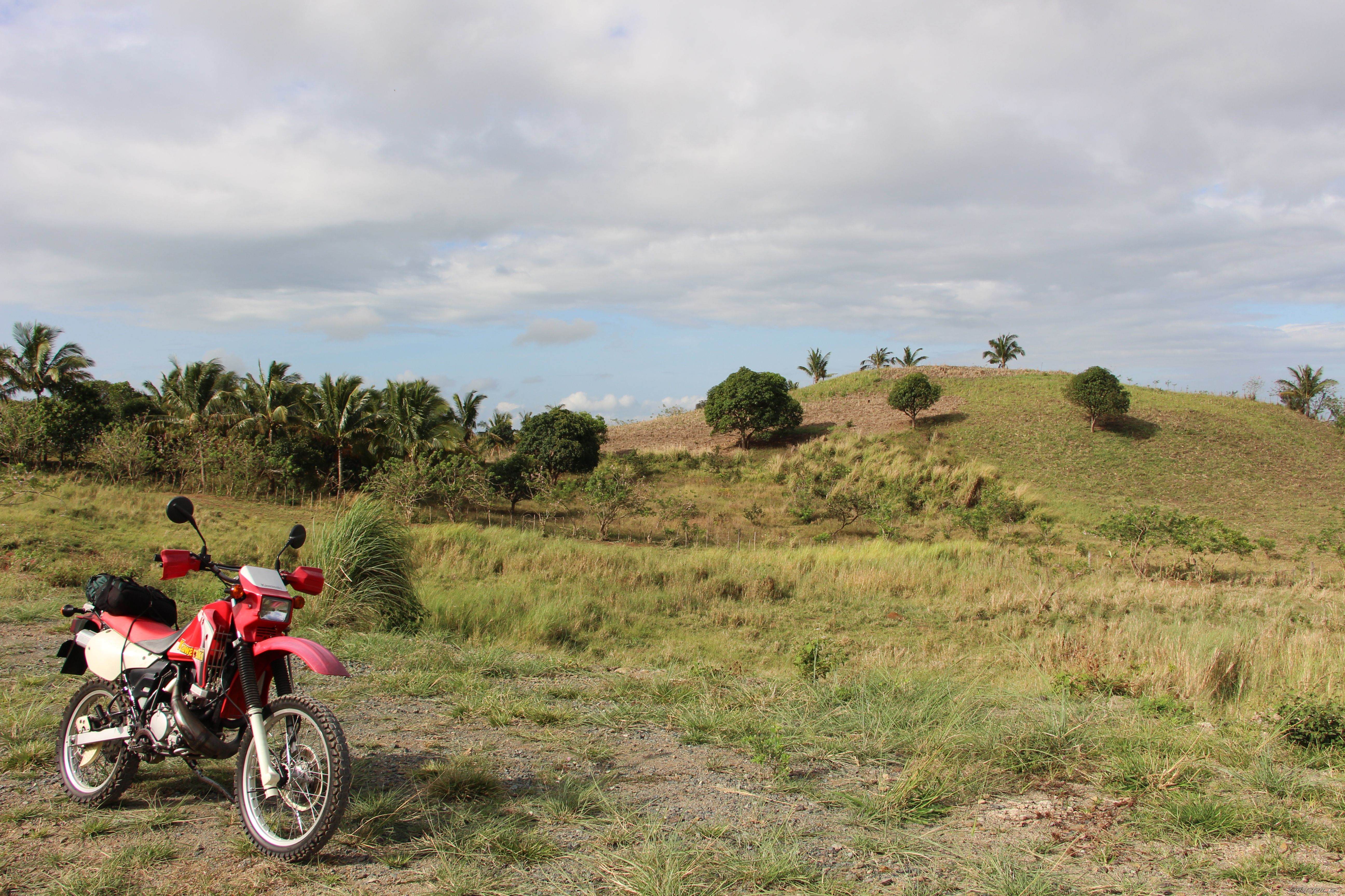 Photo 2787208