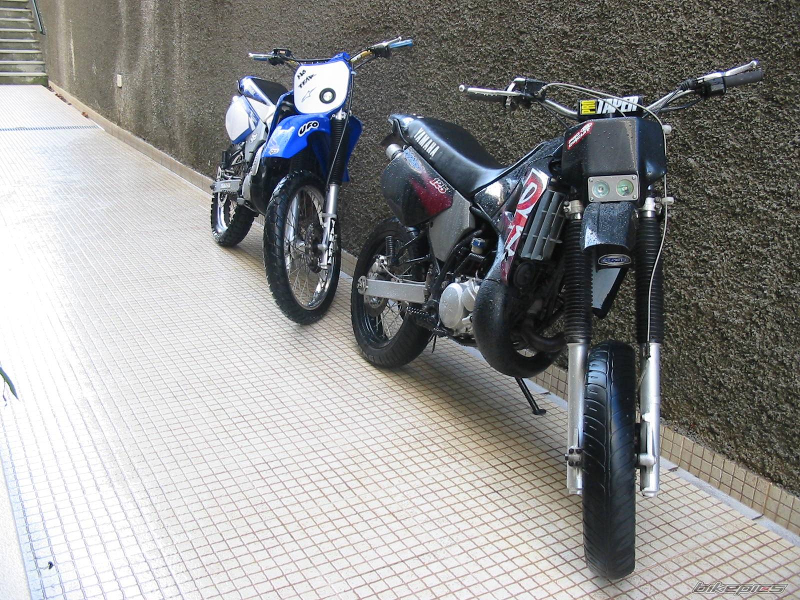 Photo 278721