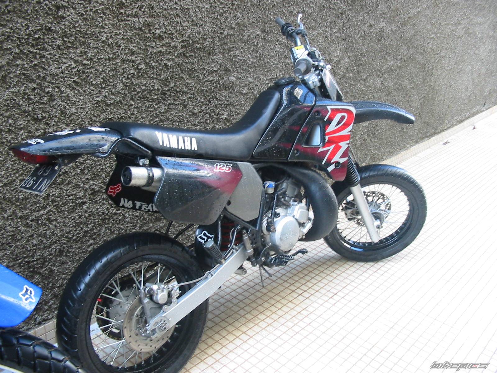 Photo 278722
