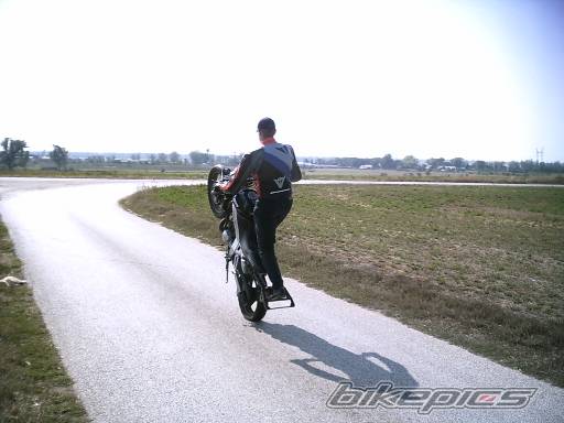 Photo 278723