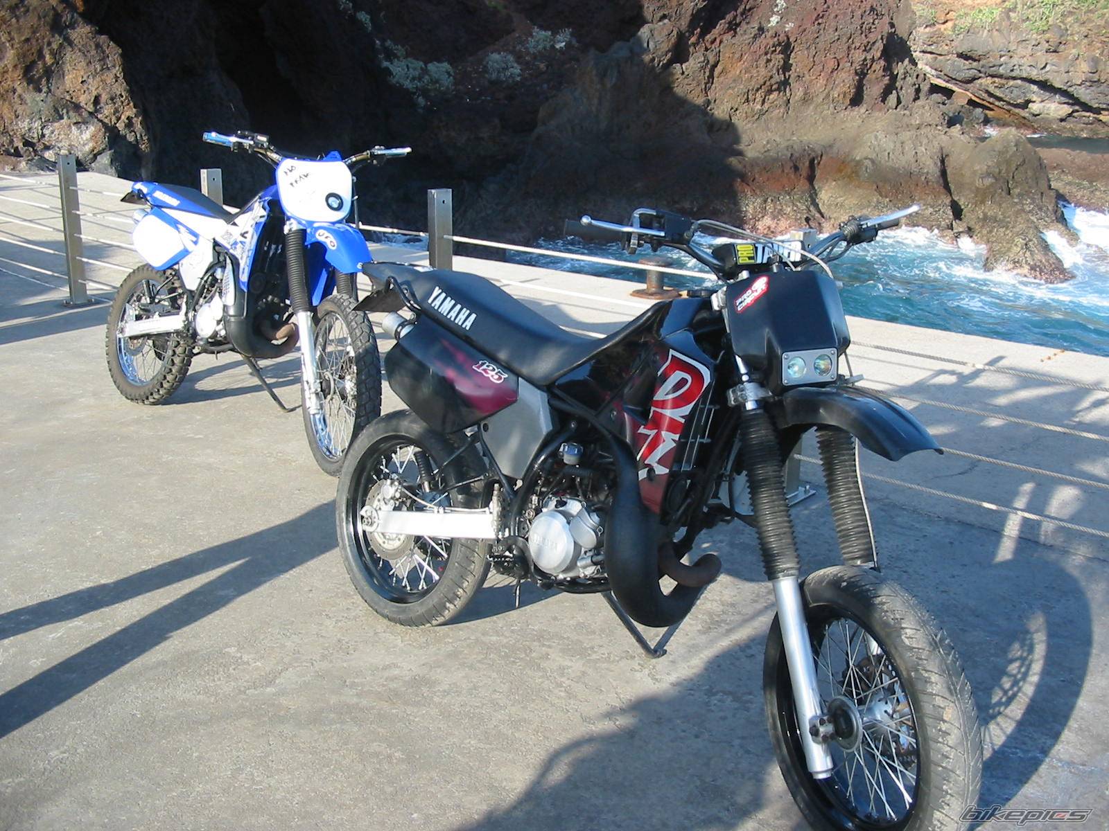 Photo 278725