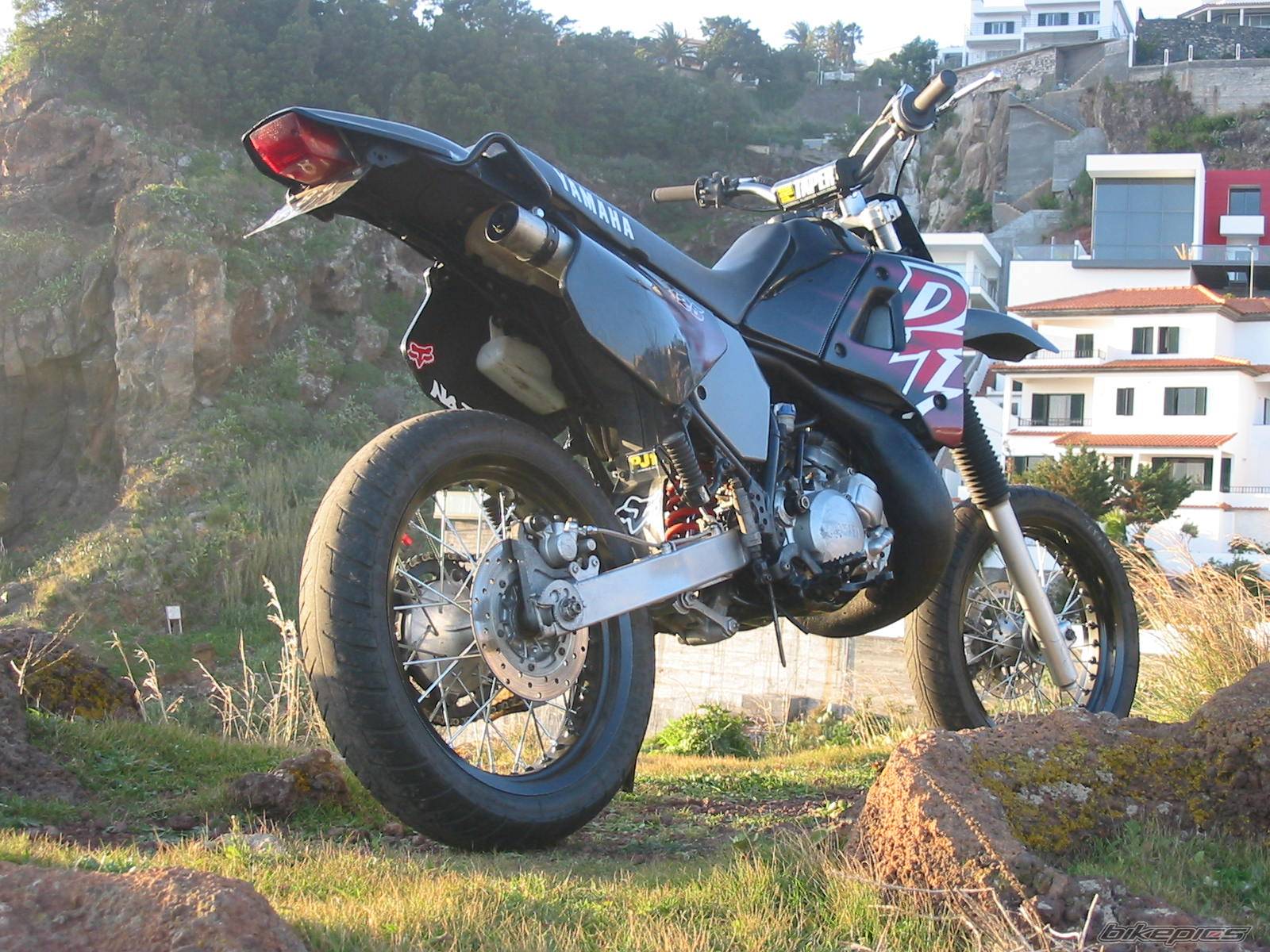Photo 278728