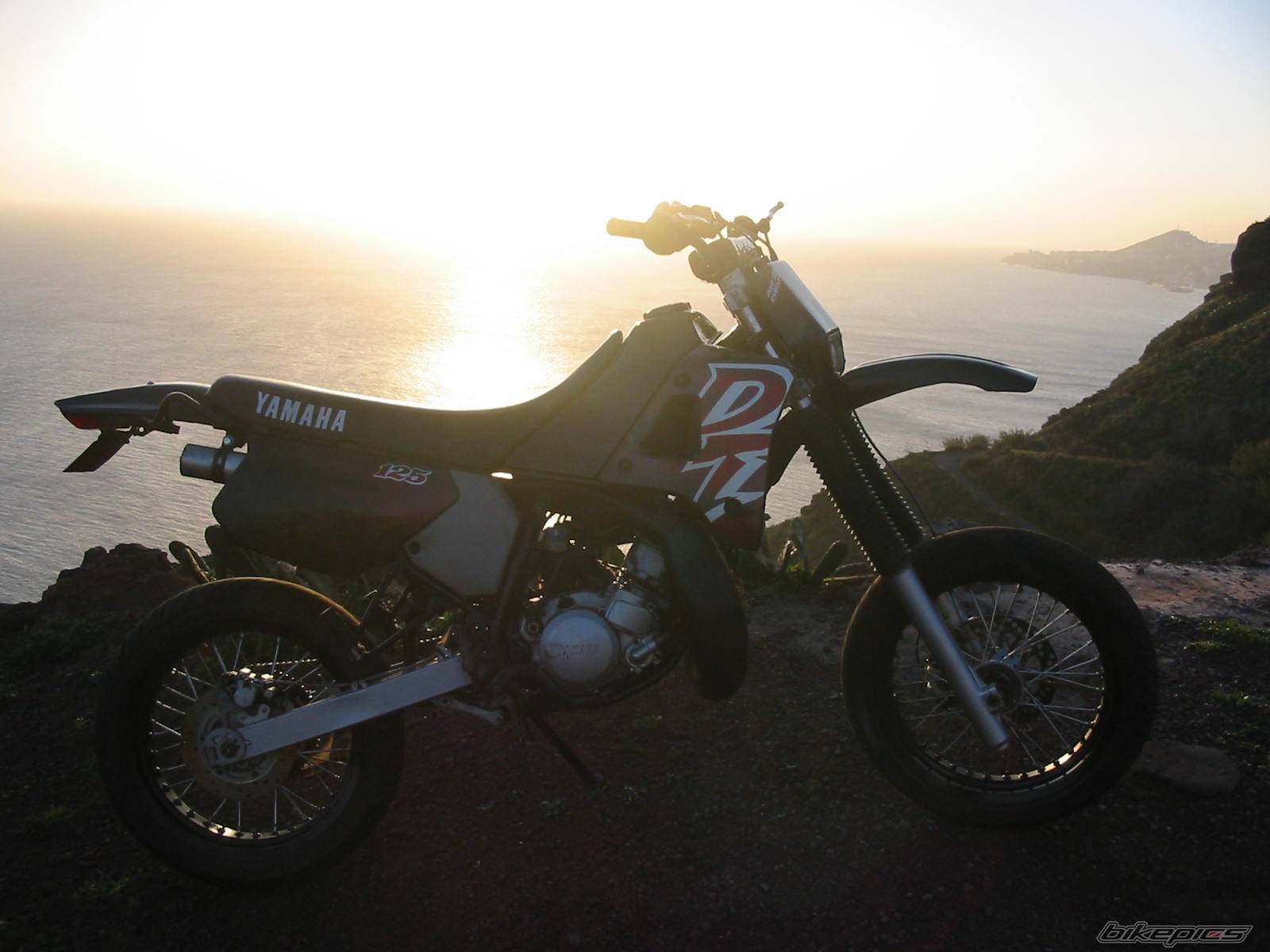 Photo 278731
