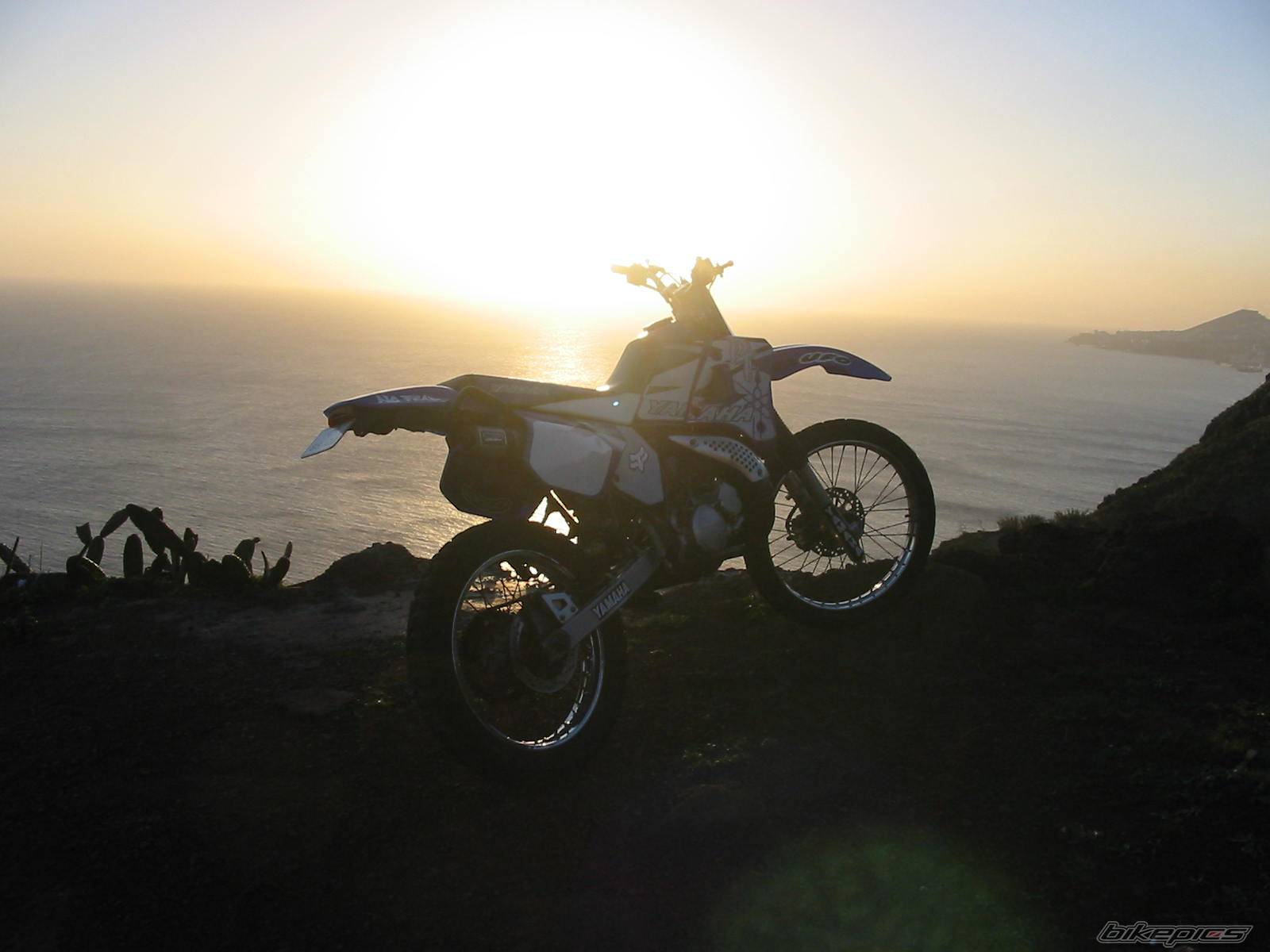 Photo 278732