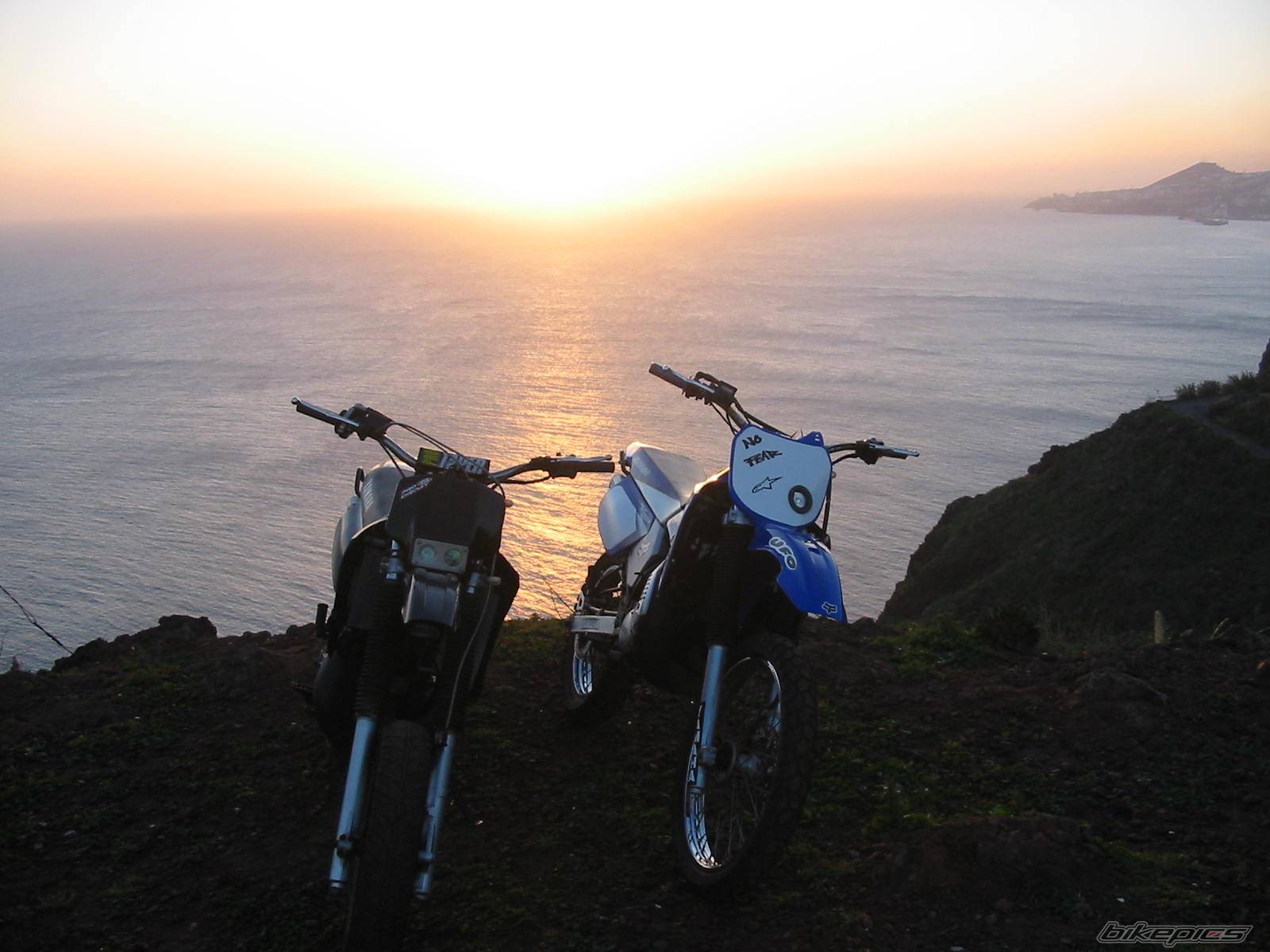 Photo 278735