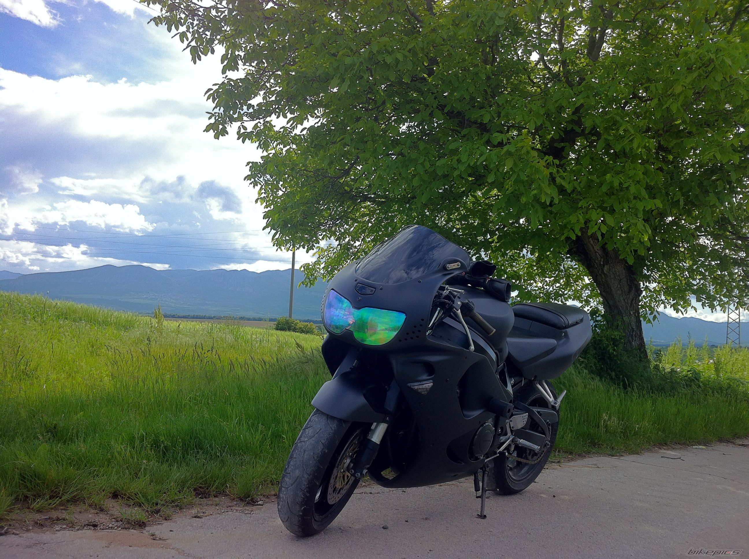 Photo 2787367