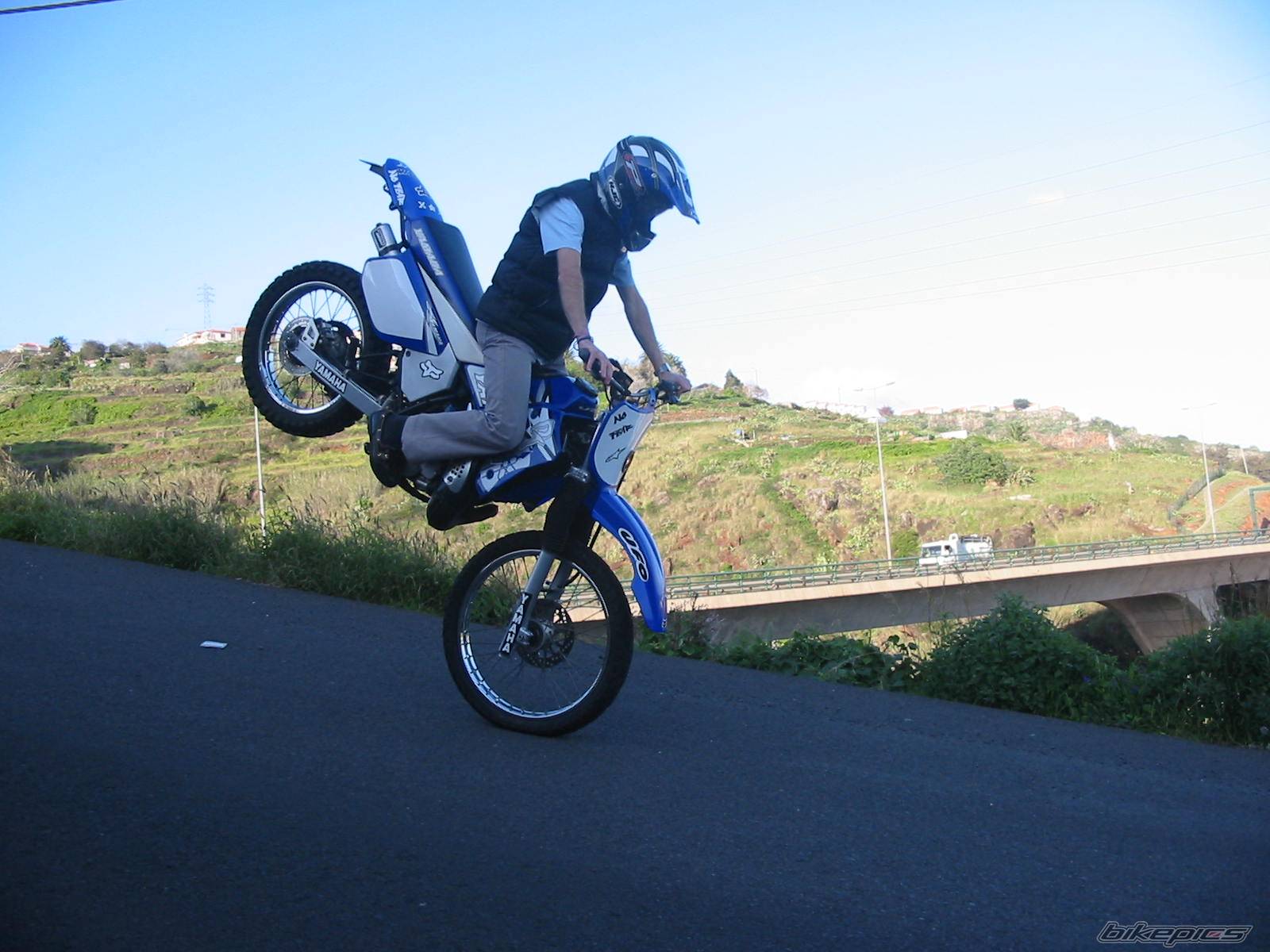 Photo 278737