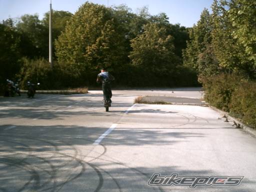 Photo 278738