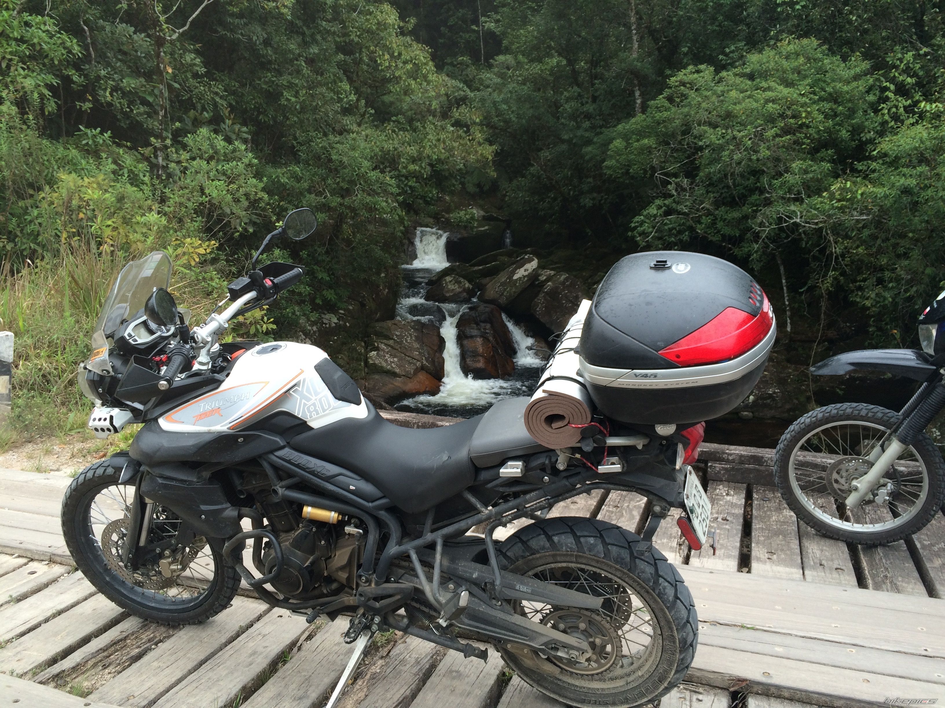 Photo 2787380