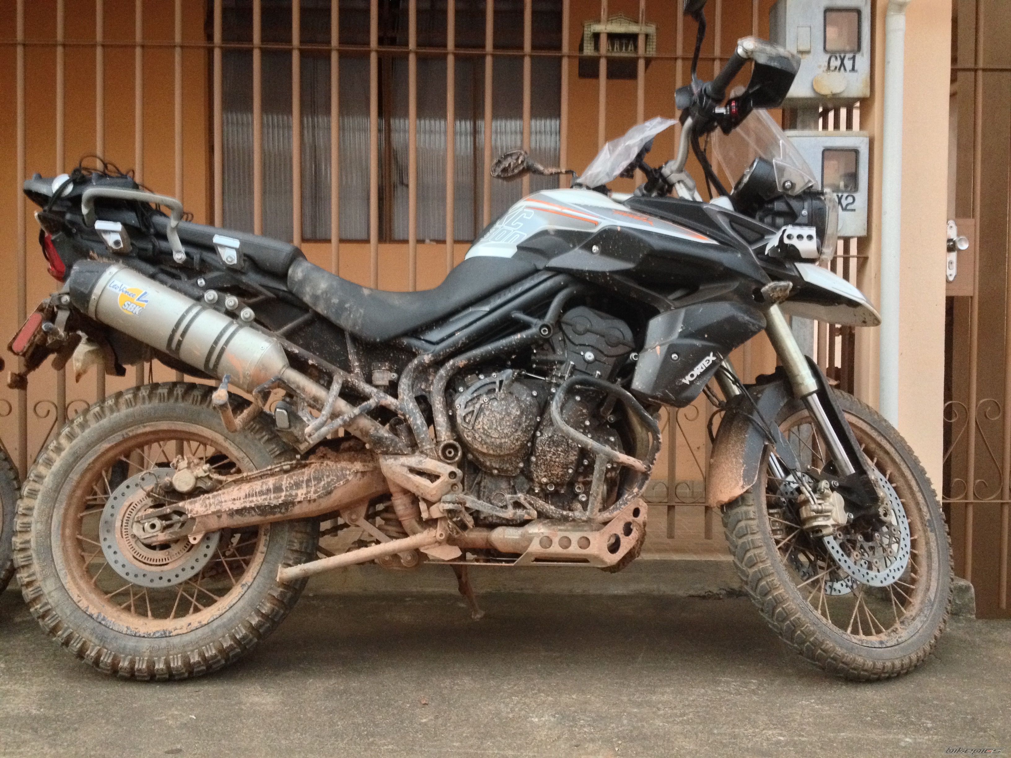 Photo 2787382