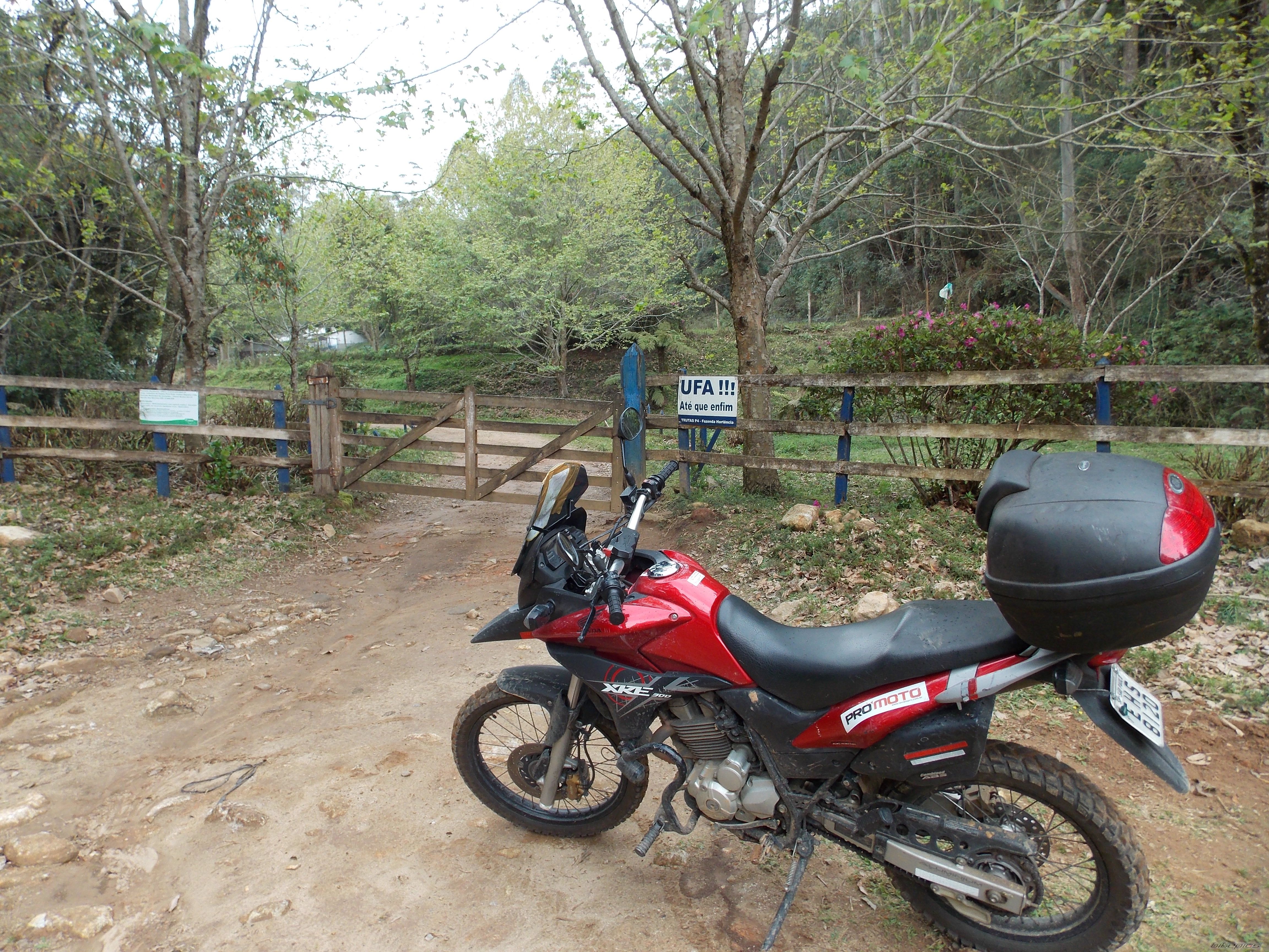 Photo 2787386