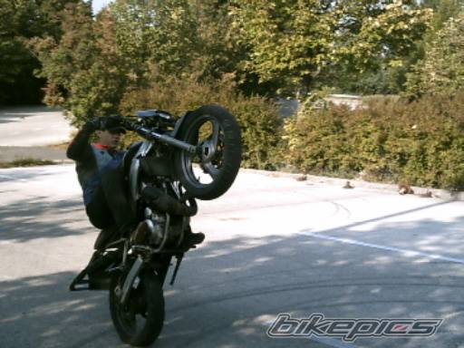 Photo 278740