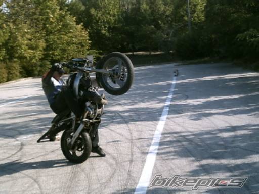 Photo 278741