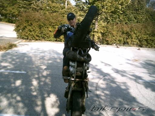 Photo 278744