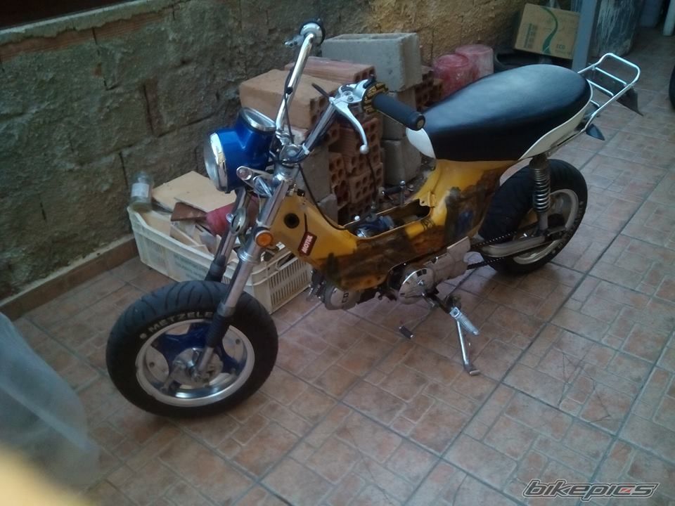 Photo 2787461