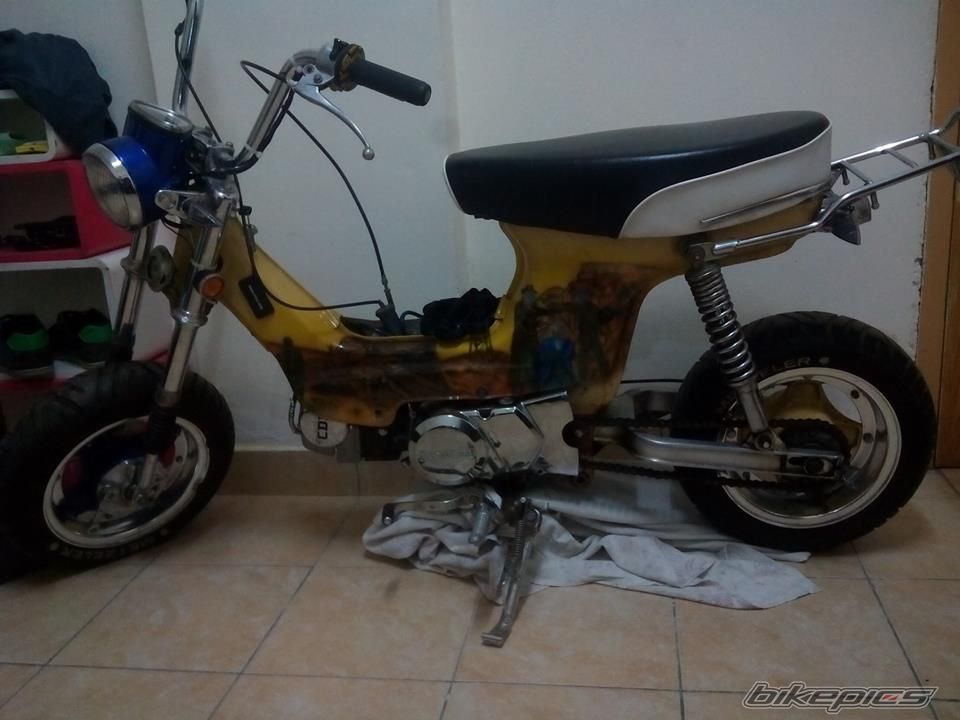 Photo 2787464